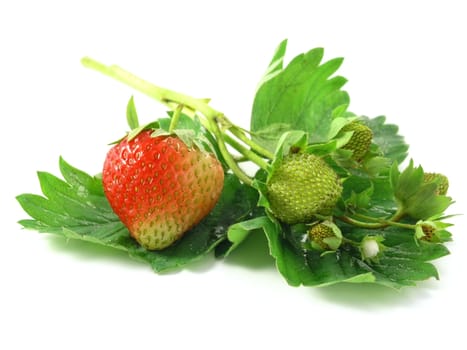 fresh strawberries isolated on white background