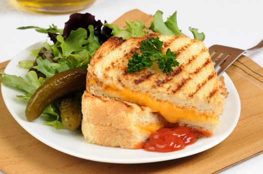 Tasty grilled cheese sandwich served with a salad.
