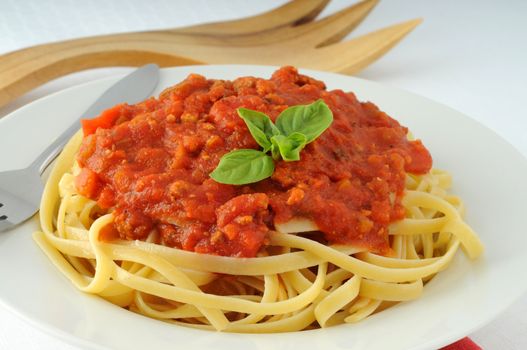 Linguine pasta with a tasty tomato basil sauce.