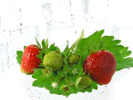 fresh strawberries isolated on white background