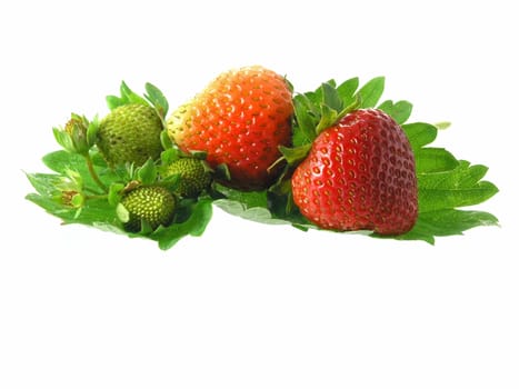 fresh strawberries isolated on white background