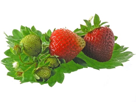 fresh strawberries isolated on white background