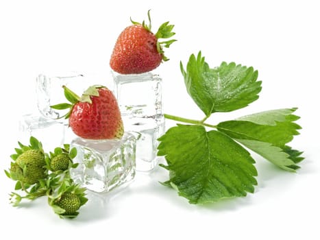 fresh strawberries isolated on white background