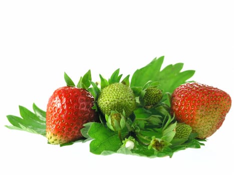 fresh strawberries isolated on white background