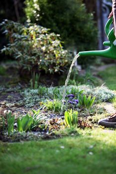 Watering flowers