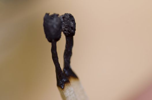 macro on a couple of burned matches on light wood background