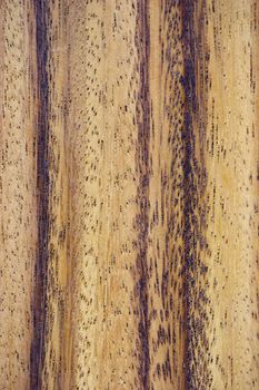 Hardwood texture closeup