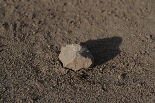 one small rock laying in sun
