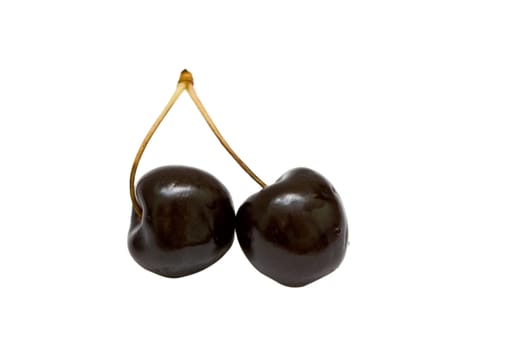 sweet black cherries on white background