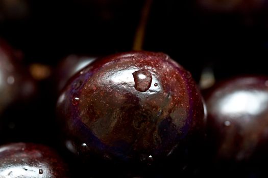 sweet black cherries on neutral background