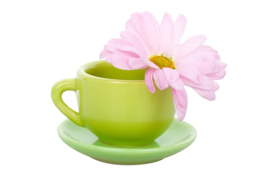 close-up green cup with flower, isolated on white