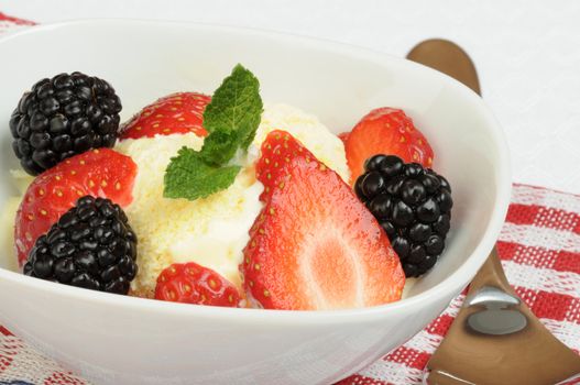 Bowl of fresh berries served over vanilla ice cream.