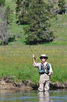 Active senior woman casting a flyfishing rod in the Firehole River in Yellowstone Park.