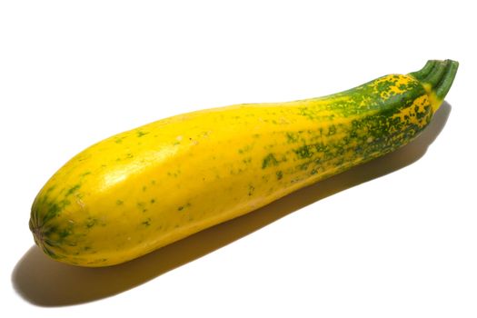 Yellow-green marrow squash with shadow on a white bacground. Isolated.