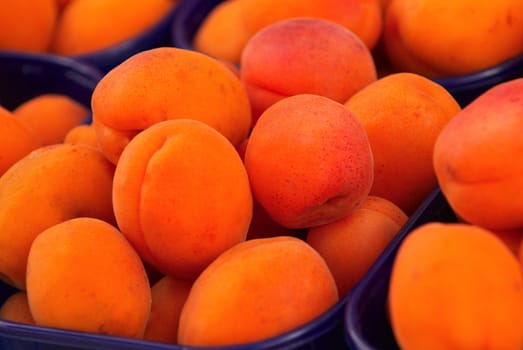 Fresh apricots in a plastic box in street shop