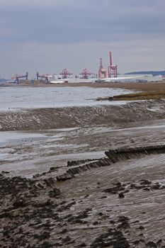 The docks at Avonmouth viewed from Portishead
