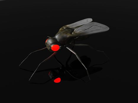 3D rendered Illustration. An evil Fly in the Dark.