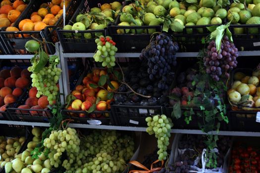 oranges, grapes, lemons for sale