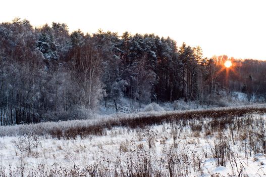 Decline in winter wood.