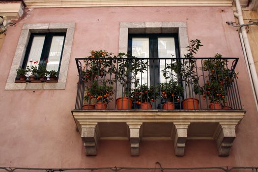 Sicilian Balcony with orange trees