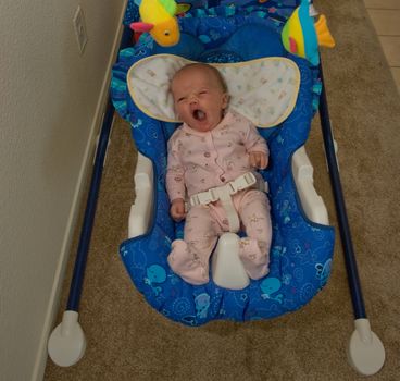 One month old caucausian girl in baby bouncer seat.