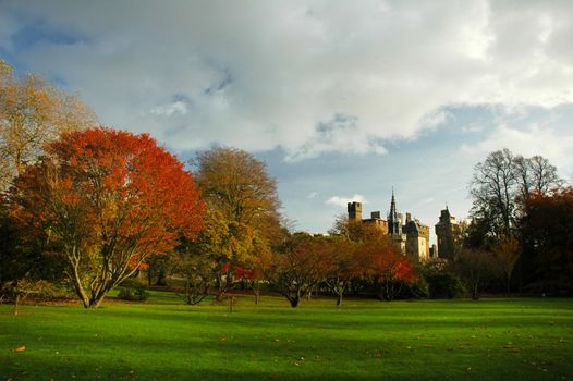 Bute park in cardiff with castle and autumn colours