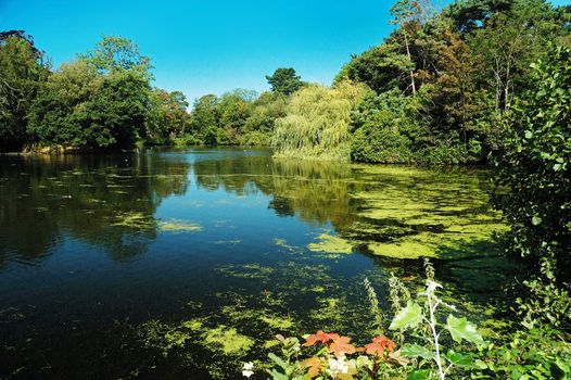 beautiful summer lake of Roath park in Cardiff