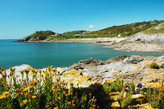 coast of Swansea in Wales with rock, sea, plants and sky