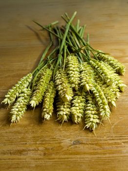 close-up of fresh green ears on the table