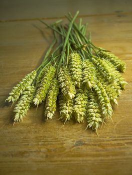 close-up of fresh green ears on the table