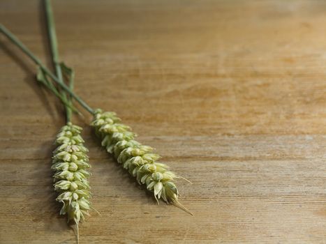 close-up of fresh green ears on the table