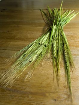 close-up of fresh green ears on the table