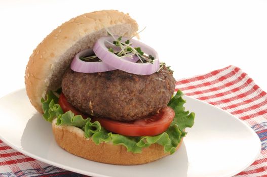 Delicious grilled hamburger with lettuce, tomato and onion.