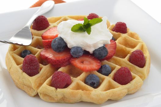 Fresh made waffle with ripe seasonal fruit.