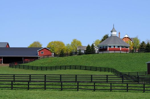 Tranquil scene of red barns on a horse farm.
