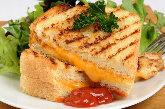 Tasty grilled cheese sandwich served with salad greens.