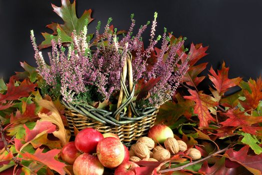 Autumn Cornucopia - colorful leaves 