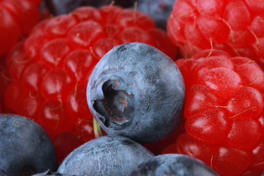 blueberry and raspberry shot in studio