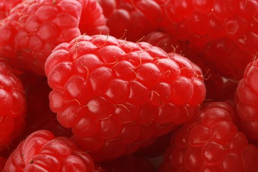 Fresh ripe raspberries shot in studio