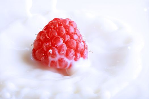 Fresh red raspberry splashing in milk, fantastic concept of freshness