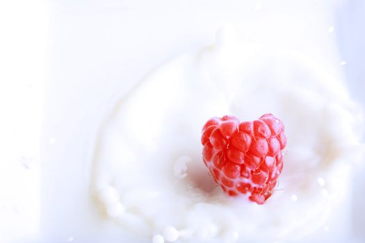 raspberry splashing in fresh milk, great concept for freshness