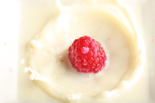 Red raspberry splashing in milk