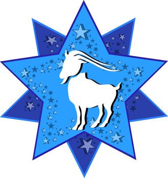 zodiac sign capricorn