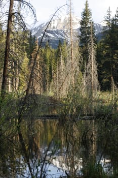 Colorado Mountains at sunrise, midday and sunset