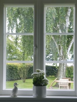 white flowers in flowerpot at window - springtime