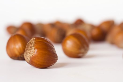 close-ups of hazelnuts on white background