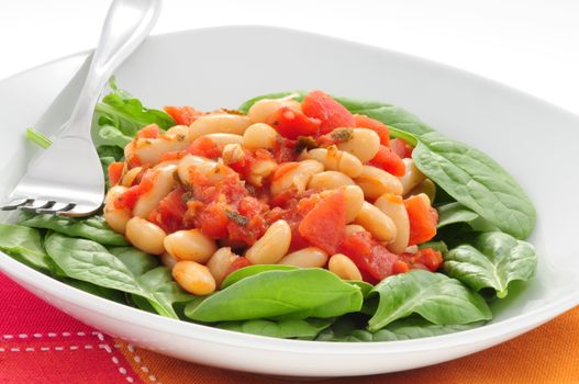 Tasty meal of white beans and tomatoes on spinach.