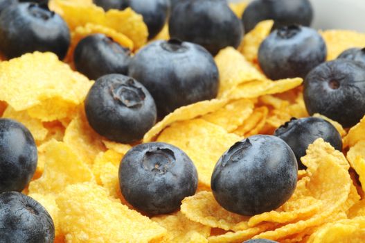 Fresh blueberries served on crispy corn cereal.