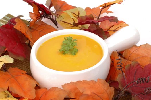Bowl of homemade delicious autumn squash soup.