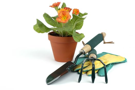 Gardening tools and a potted plant on a white background.